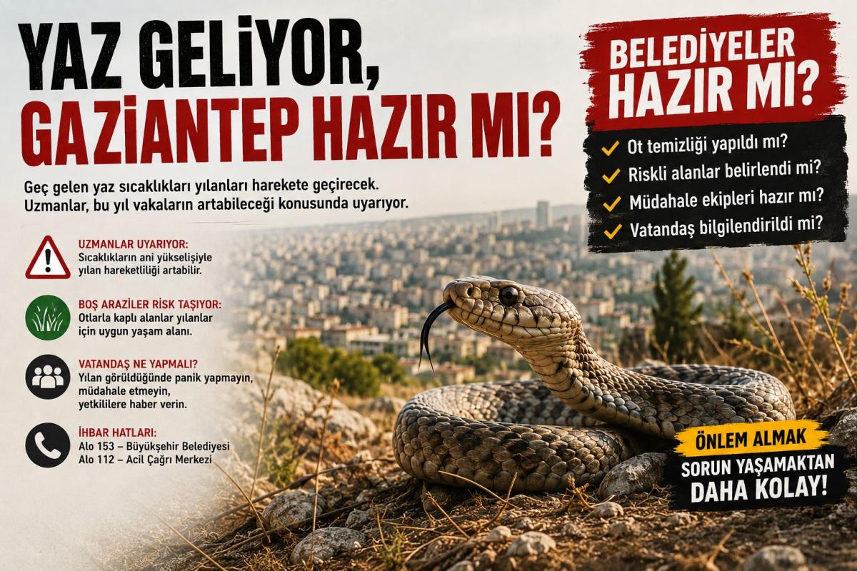 Yılanlar mı Geliyor, Yoksa İhmal mi Ortaya Çıkıyor?