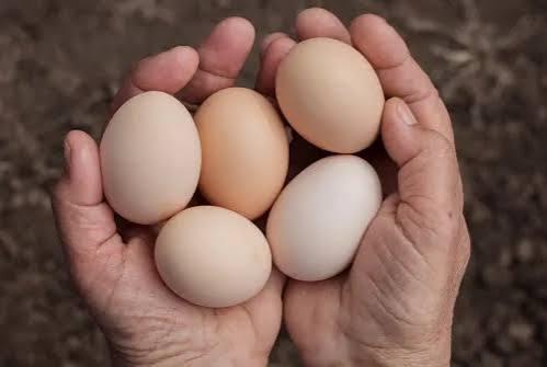 MUTFAKTA ZAM ŞAMPİYONU DEĞİŞTİ: YUMURTA ZİRVEYE ÇIKTI