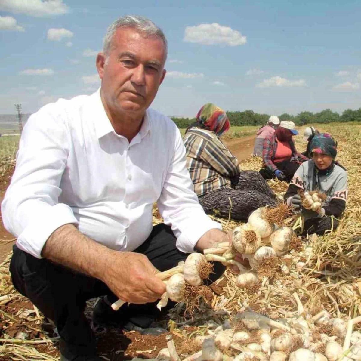 Hasan Altun’dan ’Toprak Bayramı Haftası’ kutlama mesajı